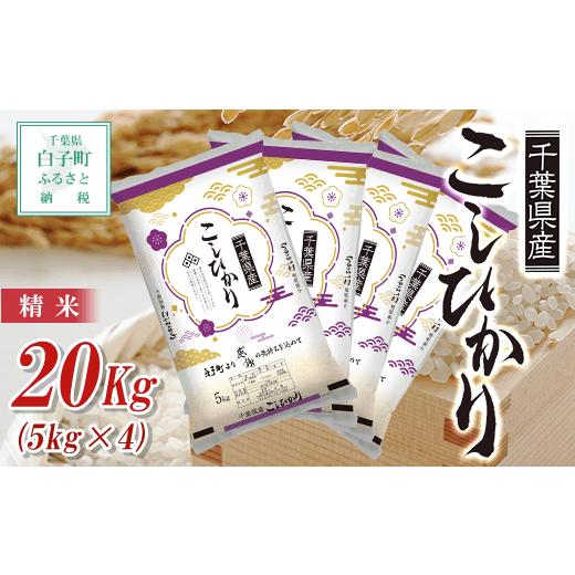 ふるさと納税 千葉県 白子町 令和5年産  千葉県産コシヒカリ＜精米＞20kg(5kg×4) ふるさと納税 お米 20kg 千葉県産 白子町 コシヒカリ 米 精米 こめ …