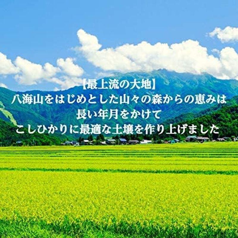 新米 精米 新潟県 魚沼産 コシヒカリ 令和4年産 白米 米 コメ （5?×1袋）