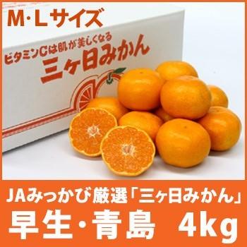 静岡県産みかん 「三ヶ日みかん 早生 青島」 ＭまたはＬサイズ4kg 光センサー選別品