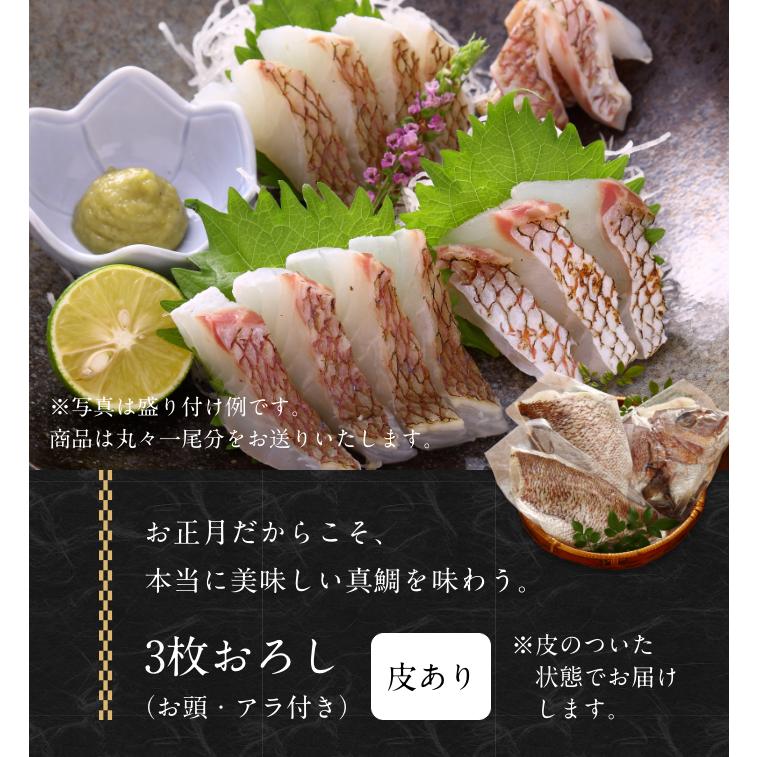 ＜送料無料＞正月用祝い鯛　１kg〜1.2kg　塩焼も◎刺身用