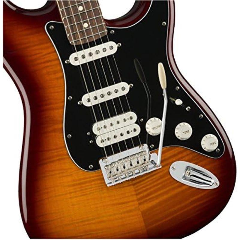 Fender エレキギター Player Stratocaster? Plus Top, Pau Ferro Fingerboard, To