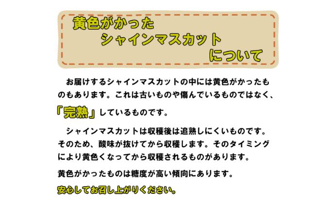 ぶどう 2024年 先行予約 シャイン マスカット 約2kg 糖度抜群！ ブドウ 葡萄  岡山県産 国産 フルーツ 果物 ギフト