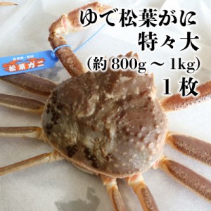 [予約 2023年12月20日-12月31日の納品] ゆで松葉がに 特々大（約800g～1kg） 1枚 ブランドタグ付き 蟹 松葉がに 松葉ガニ カニ