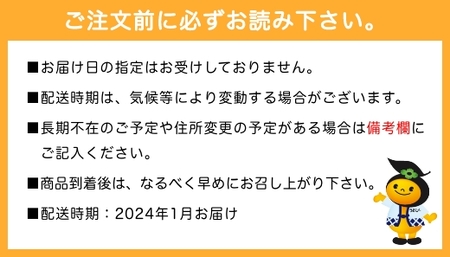 P101-01 よかもんいちご 大粒苺のギフトセットB 1月お届け