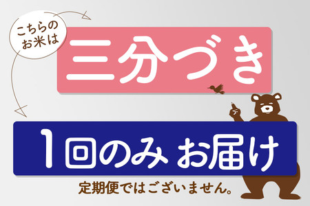 ＜新米＞秋田県産 あきたこまち 4kg(2kg小分け袋)令和5年産　お届け時期選べる お米 おおもり 配送時期選べる