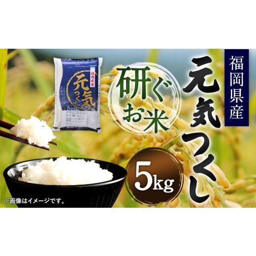 ふるさと納税 福岡県 直方市 福岡県産 元気つくし 研ぐお米 5kg お米 ご飯 米