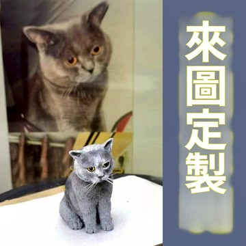 客製化公仔/真人像訂製公仔/手工真人像訂製公仔人偶/軟陶人偶照片diy/交換禮物/公仔人偶模型/情人節禮物/生日禮物