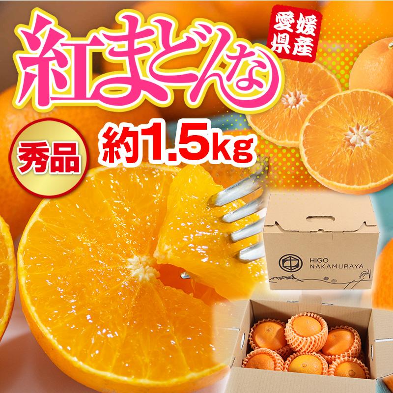 みかん 紅まどんな 愛媛産 秀品 約1.5kg 約6-10玉 M-3L お歳暮 プレゼント 贈り物 贈答 ギフト お土産 常温便