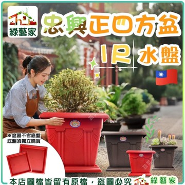 【綠藝家】忠興正四方盆專用水盤1尺-磚紅色、棕色-台灣製 四方盆 花盆 塑膠花盆 方盆 多肉盆 正