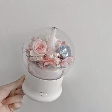 【Flora Flower】芙蘿拉永生花水氧機禮盒組-糖果色(送禮神器) 贈香氛精油5ml一瓶