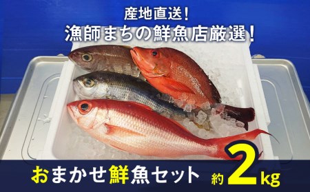 おまかせ鮮魚セット（約2kg）