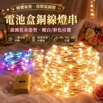 優選🏆電池盒LED銅線燈串 節慶裝飾燈 生日派對燈 電池燈串 暖白彩色三種光效 鈕扣電池串燈 婚禮房間派對酒瓶佈置燈