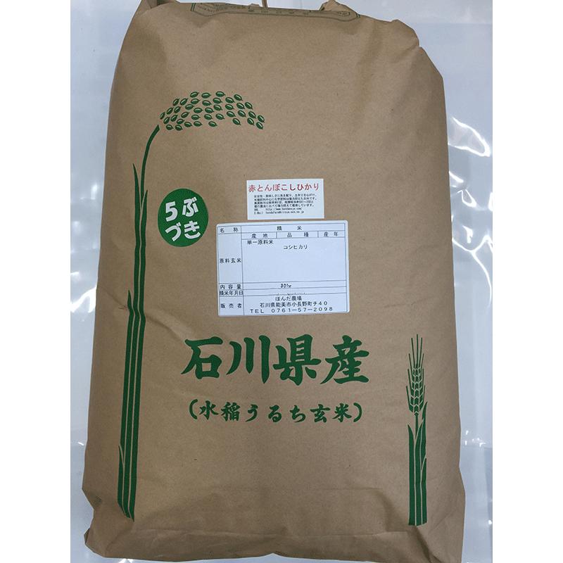 令和5年産 新米 加賀百万石 こしひかり エコ栽培米  石川県産 赤とんぼ  白米 5分づき 30kg