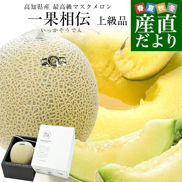 高知県産 最高級マスクメロン「一果相伝(いっかそうでん)」上級品 1玉 約1.6キロ 化粧箱 送料無料 めろん マスクメロン アールスメロン