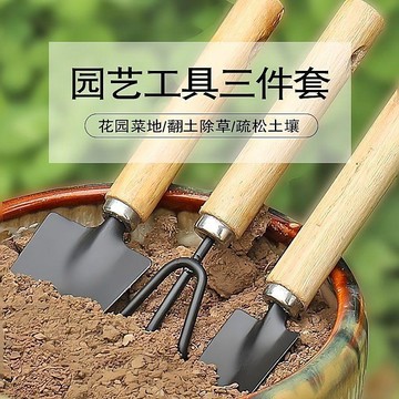 ✈️免運🚚花園小鏟子種花養花園藝工具種植多肉工具迷你三件套其它園藝用