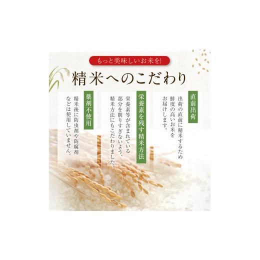 ふるさと納税 秋田県 男鹿市 定期便 令和5年産 あきたこまち 精米 10kg（5kg×2袋）3ヶ月連続発送（合計 30kg）秋田県 男鹿市