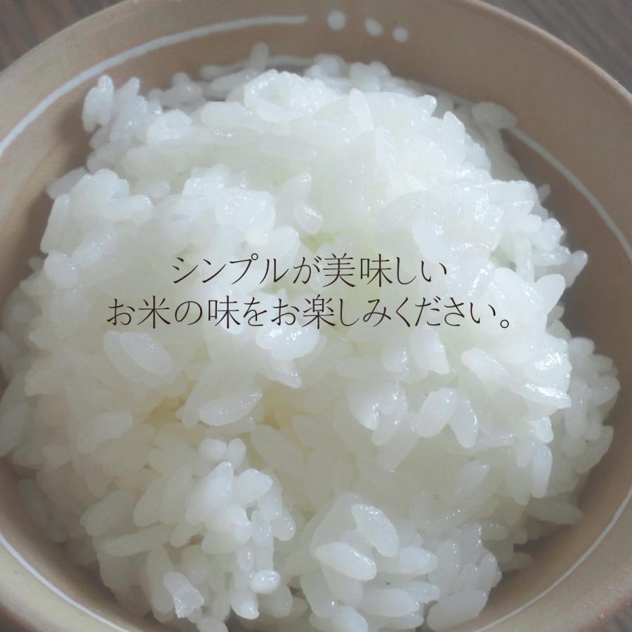 米 新米 令和5年 お米 5kg 白米 つきあかり 5kg×1袋 令和5年 岩手県産 送料無料