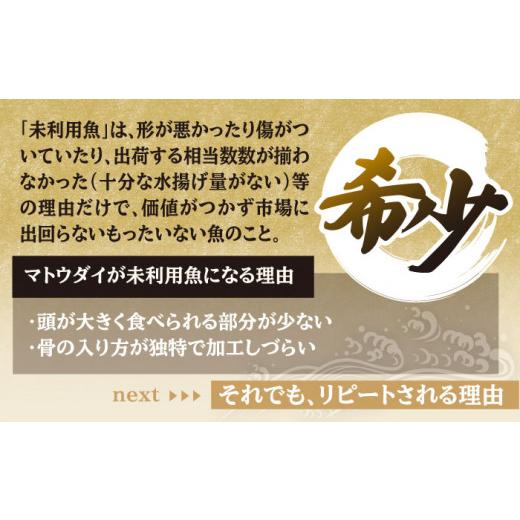 ふるさと納税 長崎県 平戸市 平戸 干物 5種セット 計16枚 平戸市 ／ 井吉水産 [KAA074]