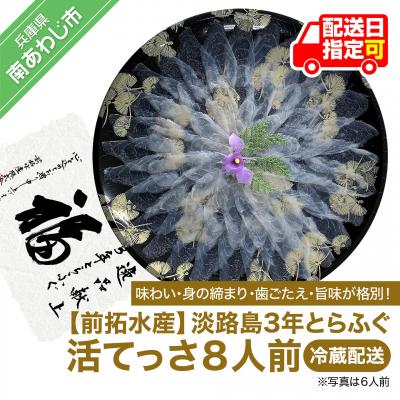 ふるさと納税 南あわじ市 淡路島3年とらふぐ(活てっさ8人前)◆配送10月8日〜3月31日