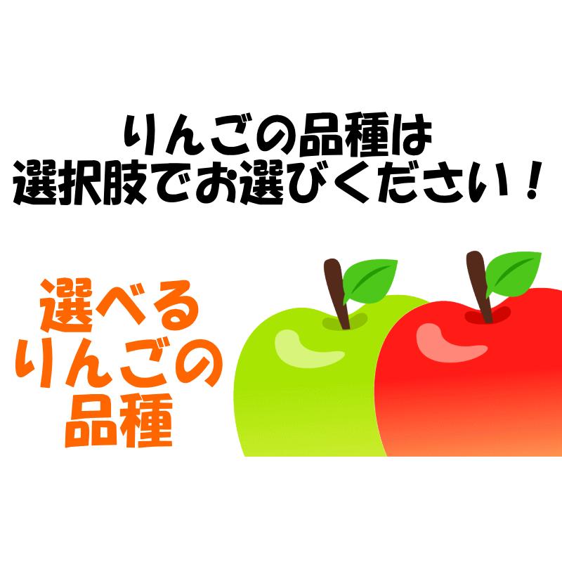 あすつく 青森 りんご 10kg箱 訳あり 加工用 選べる品種 送料無料 あすつく リンゴ 10キロ箱★品種選べる 加 10kg箱