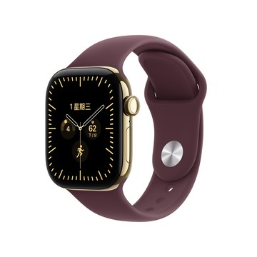 Apple Apple Watch Series 12 GPS+LTE 42mm 鈦金屬錶殼搭配運動型錶帶
