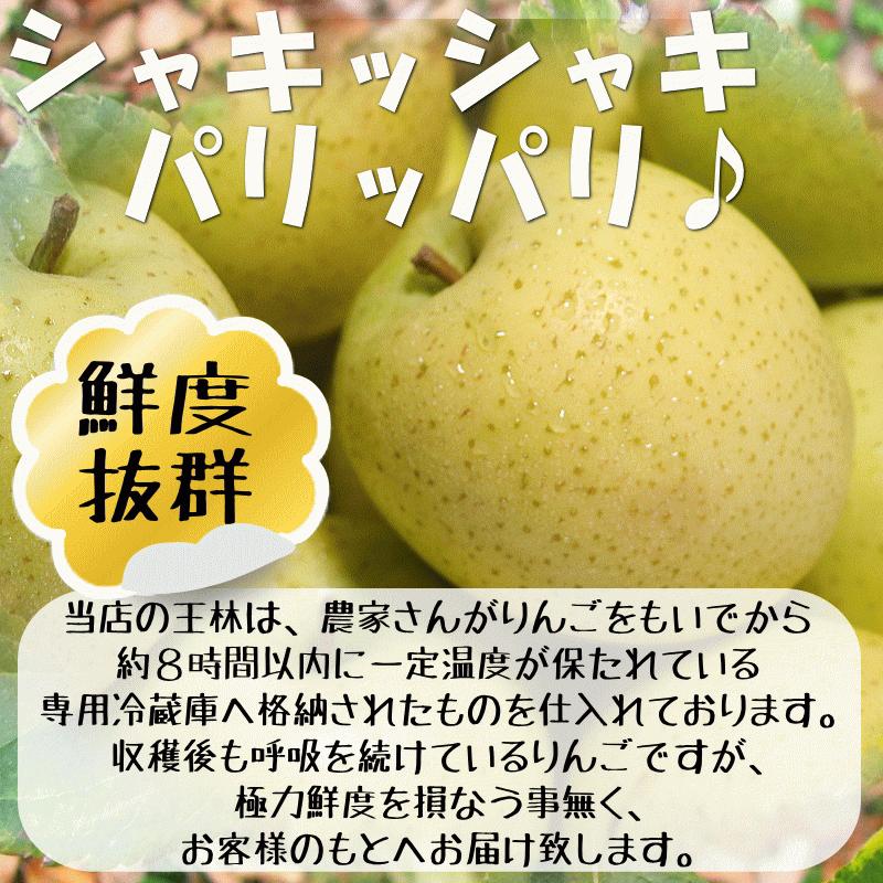 あすつく 青森 りんご 10kg箱 王林 送料無料 家庭用 訳あり 青森 リンゴ 訳あり 10キロ箱★王林 家訳 10kg箱