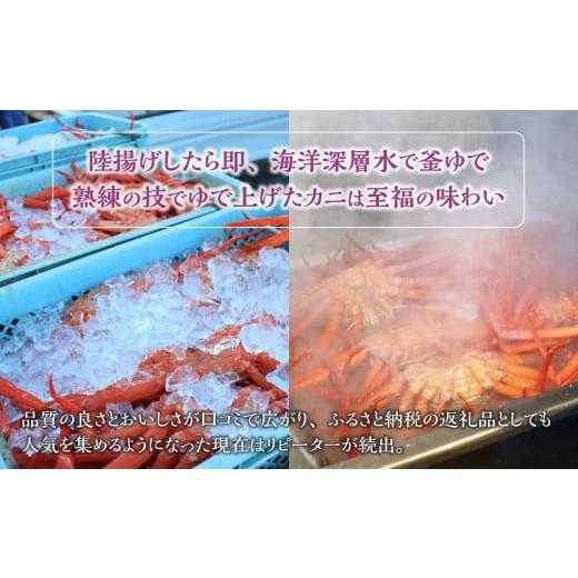 ふるさと納税 石川県 能登町 紅ズワイガ二脚1.5kg