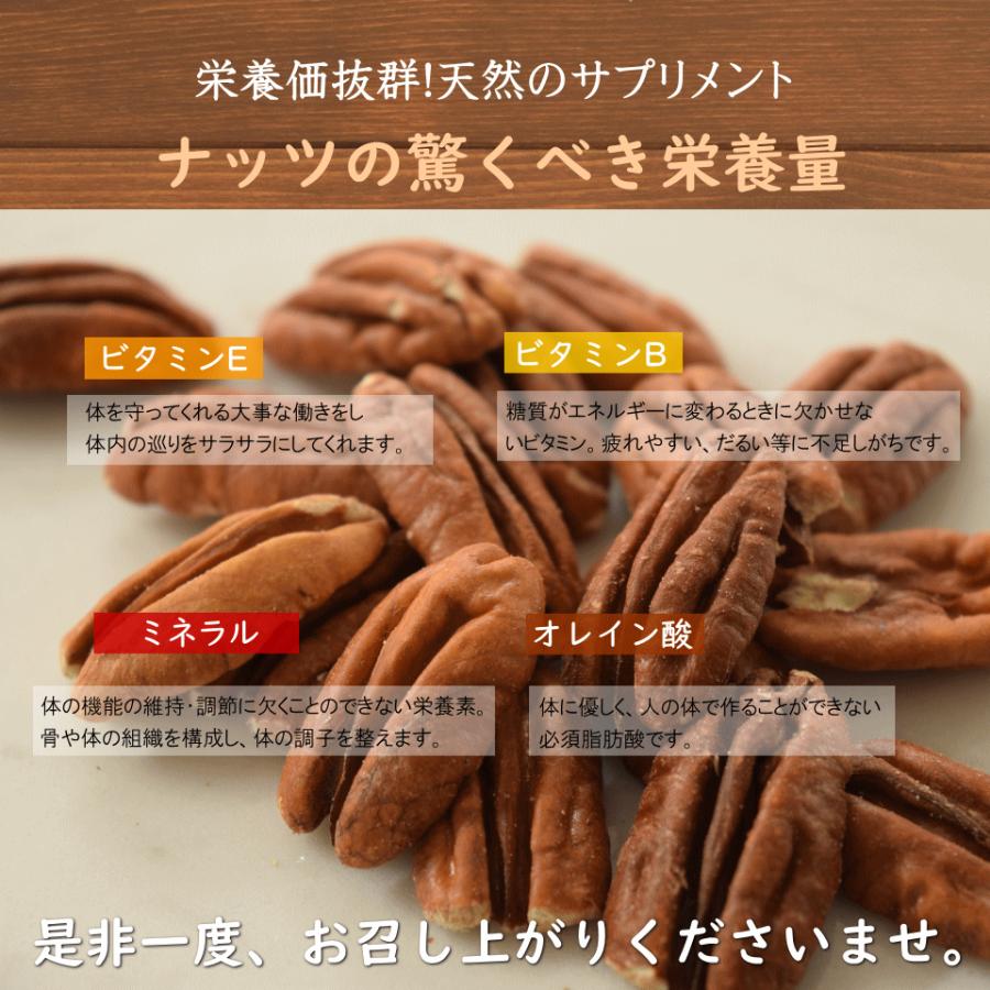 ナッツ 素焼き 無塩 ロースト ピーカンナッツ 500g 無添加 無油 おつまみ おやつ 非常食