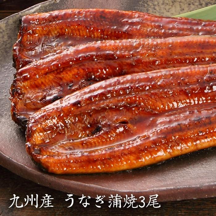 お歳暮ギフト2023にも！ 九州産 うなぎ蒲焼3尾・送料無料