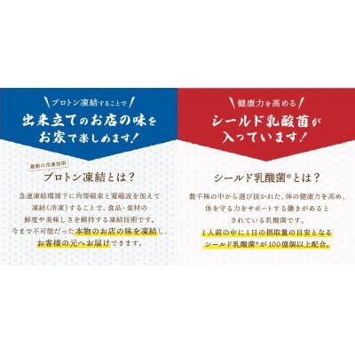 ふるさと納税 富士吉田市 プロトン凍結　シールド乳酸菌(R)入り吉田の肉うどんセット(1人前×6セット)