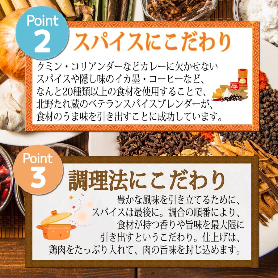 北野たれ蔵 人気TV番組ご紹介「コロコロチキンカレー」(3袋) 深い味わいの欧風タイプ 200g 人気ご当地カレー