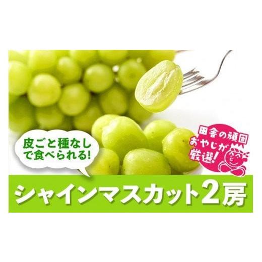 ふるさと納税 茨城県 つくばみらい市 田舎の頑固おやじが厳選！シャインマスカット2房