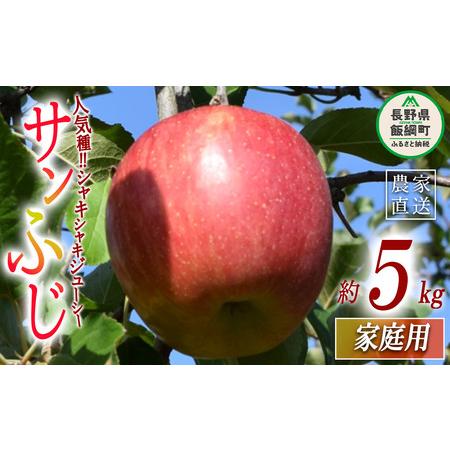 ふるさと納税 りんご サンふじ 家庭用 5kg 大垣農園 沖縄県への配送不可 2023年11月下旬頃から2023年12月下旬頃まで順次発送予定 令和5年度収穫.. 長野県飯綱町