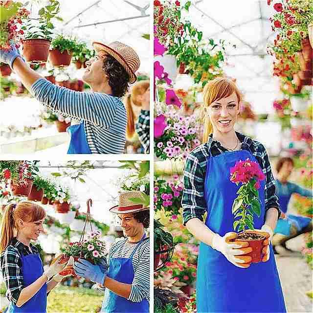 100個 家庭菜園 ツール ボックス プラスチック 植物 花 ポット 育苗 苗秋 耐性 トレイ 植木鉢