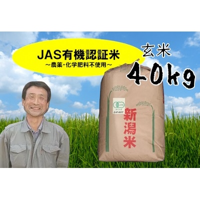 JAS有機認証米 コシヒカリ 玄米 40kg