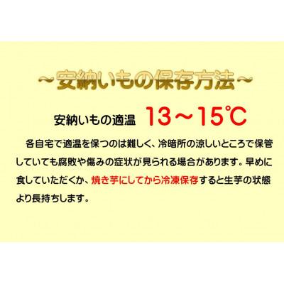 ふるさと納税 中種子町 種子島産安納芋5kg