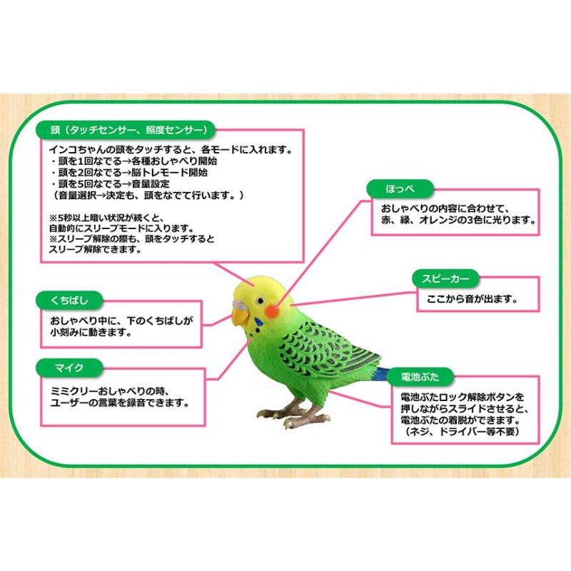 毎日おしゃべり 天才インコちゃん インコ おもちゃ 鳥 おしゃべり 音声