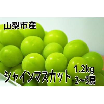 ふるさと納税 山梨市 やみつきシャインマスカット　1.2kg (2〜3房)