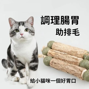 ✨貓薄荷逗貓棒 🐱木天蓼逗貓棒 貓咪磨牙玩具 磨牙潔齒 小貓自嗨解悶神器 貓咪口腔清潔 逗貓玩具 清新口氣 貓咪玩具用品
