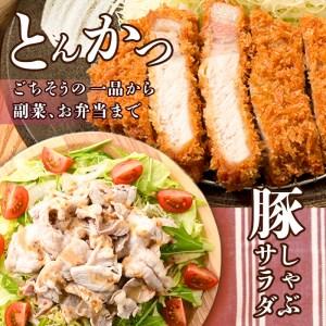 ふるさと納税 ＜定期便・全3回 (連続)＞豚肉 バラエティーパック (総量6kg・4種) 小分け 豚バラ スライス とんかつ ロース 豚こま しゃぶしゃぶ .. 大分県佐伯市