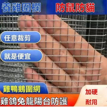 ✈️臺灣熱銷💌熱鍍鋅防鼠防蛇鋼絲網陽臺防護鴿鳥兔籠網鷄鴨戶外養殖防銹網 鐵網 篩網 鐵絲網 圍欄網 鋼絲網 防鼠鐵網 W