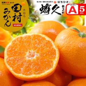 田村みかん 蜂久 他2名 赤秀 (約5kg) 和歌山有田産 生産者限定 はちきゅう S M 5キロ 有田みかん 贈答用 お歳暮 蜜柑 ミカン 食品 フルー