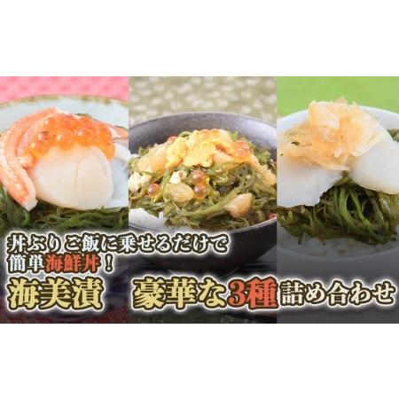 ふるさと納税 丼ぶりご飯に乗せるだけで 簡単 海鮮丼！海美漬 豪華な 3種 詰合せ 宮城県名取市