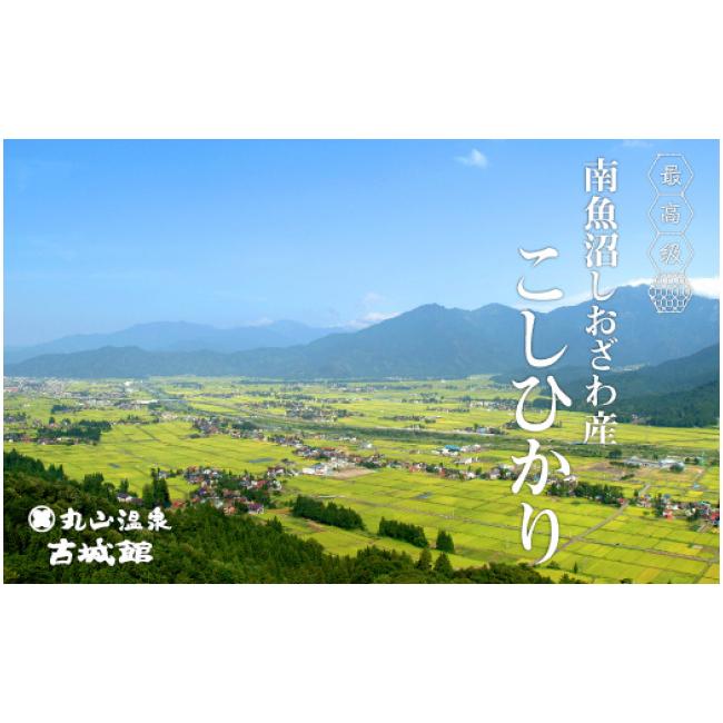 ふるさと納税 新潟県 南魚沼市 生産者限定  南魚沼しおざわ産コシヒカリ　玄米30kg