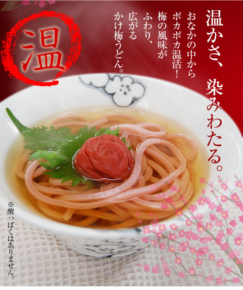 紀州 梅うどん（4食スープ付・麺400g）南高梅の梅肉を麺に練り込んだ、ふわり梅風味のうどん5,400円以上で送料無料※北海道、沖縄除く