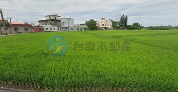 竹北持分投資田｜新竹縣竹北市豐田段