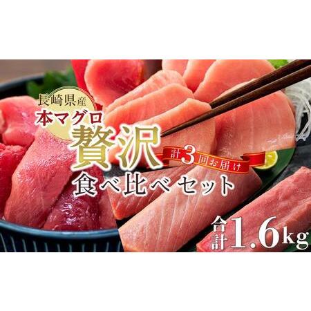 ふるさと納税 長崎県産 本マグロ 贅沢食べ比べセット 計1.6kg＜2024年1月〜3月発送＞【マグロ まぐろ 本マグロ 養殖マグロ 養殖本マグ.. 長崎県