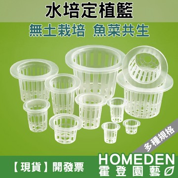 【隔日到貨】水培定植籃 水培籃 無土栽培 水耕植物 水耕 水培 魚菜共生 園藝 水培固根器【HOMEDEN霍登園藝】