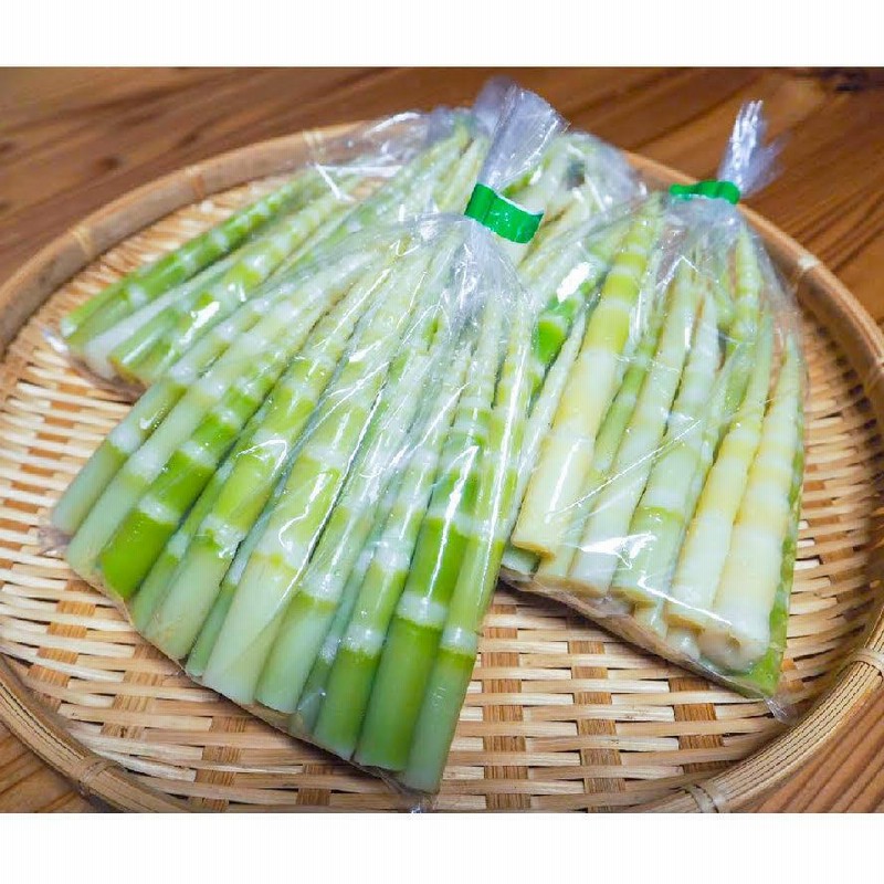 山形県産 イタドリ塩漬け　2kg(1kg×2袋) 山菜　野菜　塩蔵