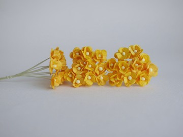 紙花，用品，100 件。加拿大海葵，尺寸 1.5 厘米，黃色